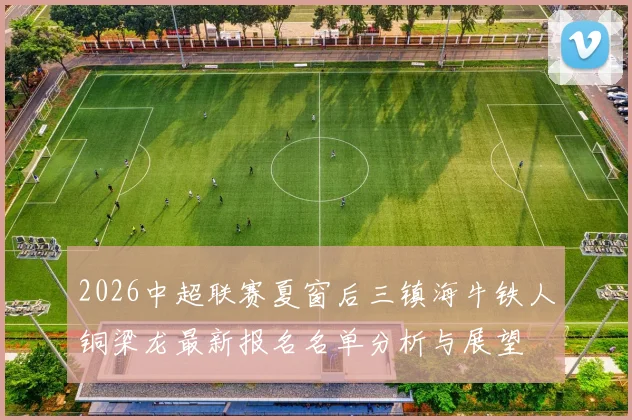 2026中超联赛夏窗后三镇海牛铁人铜梁龙最新报名名单分析与展望